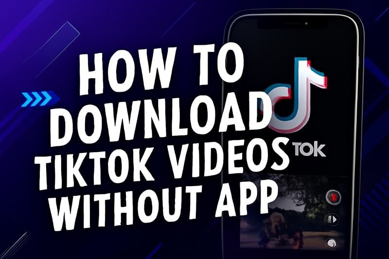 How to Download TikTok Videos Without App