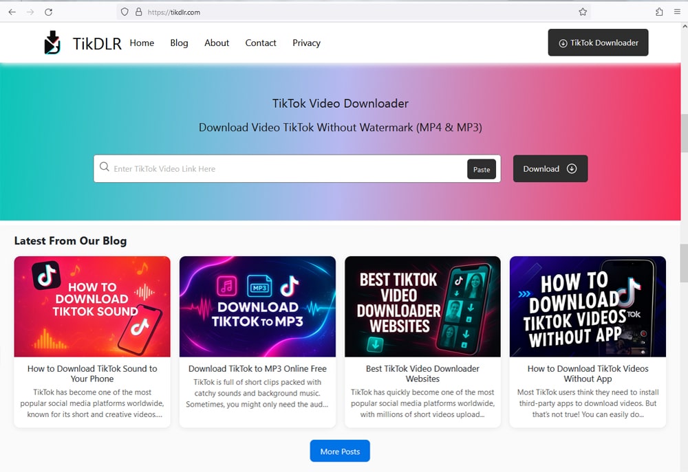 Use TikTok Video Downloader Websites