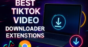 Best TikTok Video Downloader Extensions